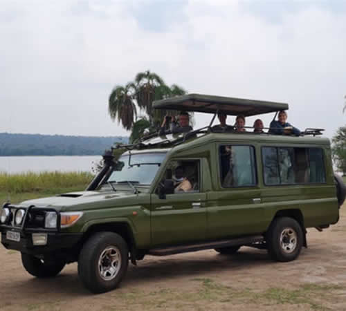 Safari Car Hire