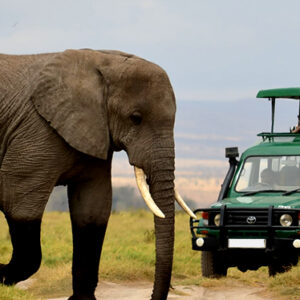  Rwanda national parks