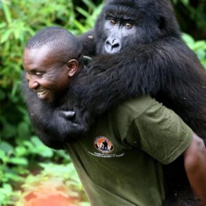 gorilla happiness