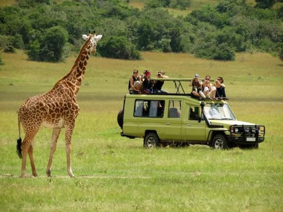 Off-Road Car Hire.4x4 Car Rental Rwanda.Off-Road Vehicles Kigali.Rwanda Safari Car Hire.4WD Car Hire Rwanda