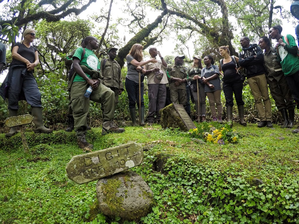 Dian Fossey Tomb, Volcanoes National Park, gorilla trekking Rwanda, Dian Fossey legacy, Rwanda conservation tourism