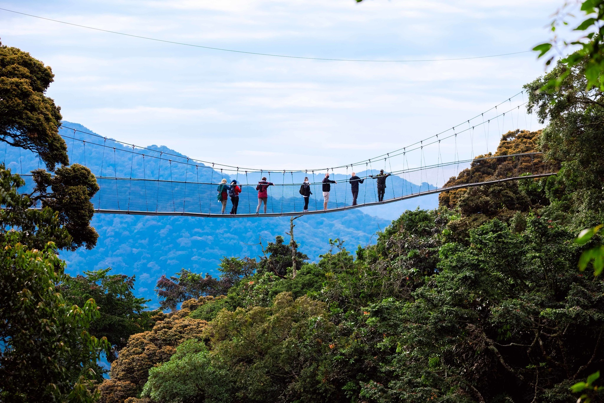 Canopy Walk In Nyungwe National Park. Nyungwe Forest canopy walk. Rwanda adventure tourism. Nyungwe National Park activities. Best time for Nyungwe canopy walk