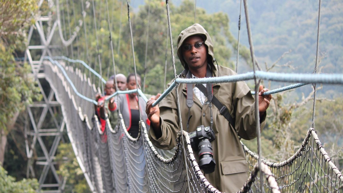 Canopy Walk In Nyungwe National Park. Nyungwe Forest canopy walk. Rwanda adventure tourism. Nyungwe National Park activities. Best time for Nyungwe canopy walk