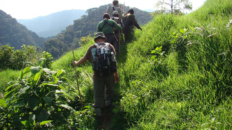 Volcano Climbing, Rwanda Volcanoes, Volcanoes National Park Rwanda, Mount Karisimbi Trek, Mount Bisoke Climb