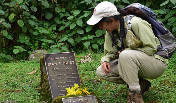 Dian Fossey Tomb, Volcanoes National Park, gorilla trekking Rwanda, Dian Fossey legacy, Rwanda conservation tourism