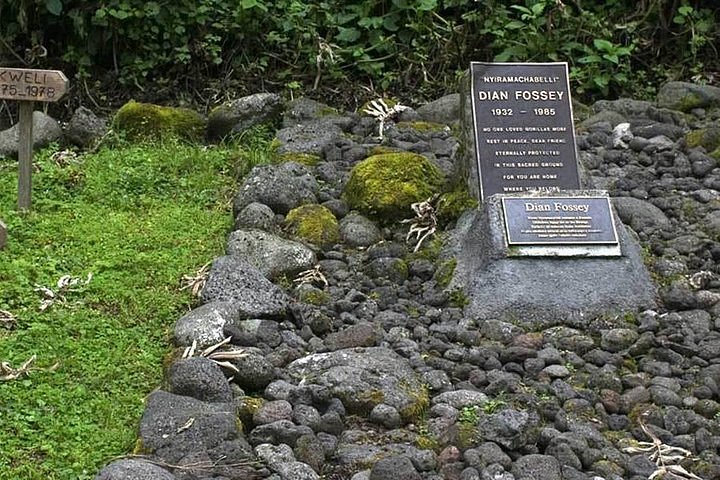 Dian Fossey Tomb, Volcanoes National Park, gorilla trekking Rwanda, Dian Fossey legacy, Rwanda conservation tourism