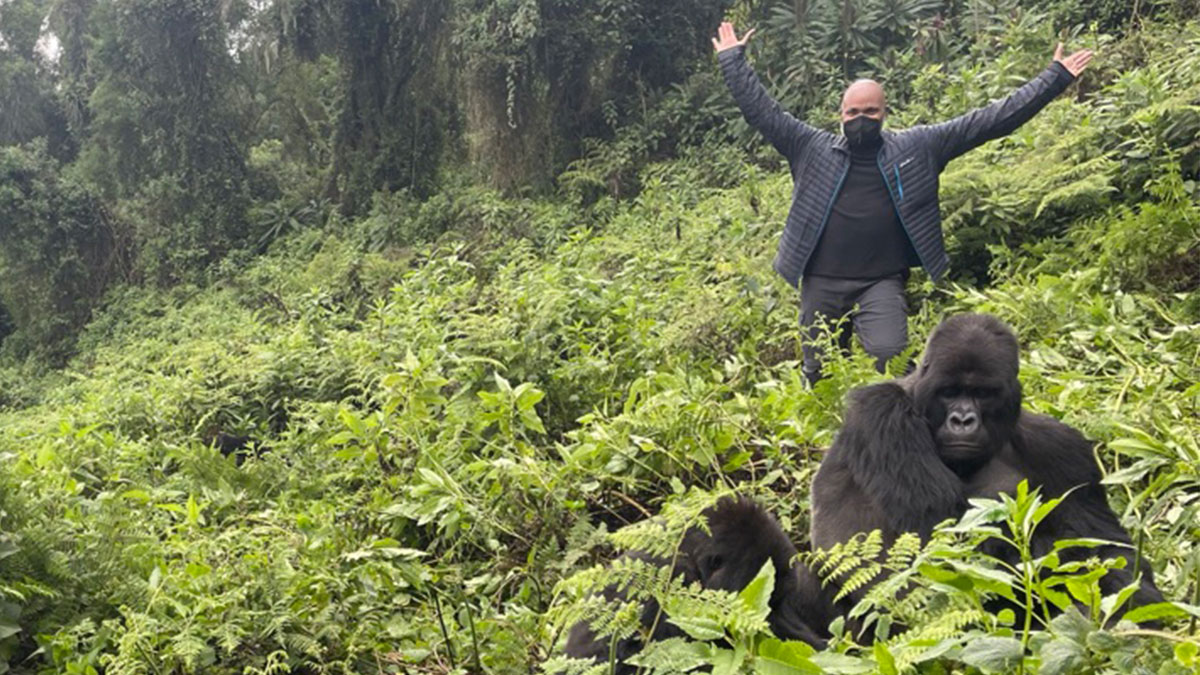 Gorilla Trekking, Mountain Gorilla Trekking Rwanda, Rwanda Gorilla Permits, Volcanoes National Park Gorillas, Rwanda Wildlife Tours